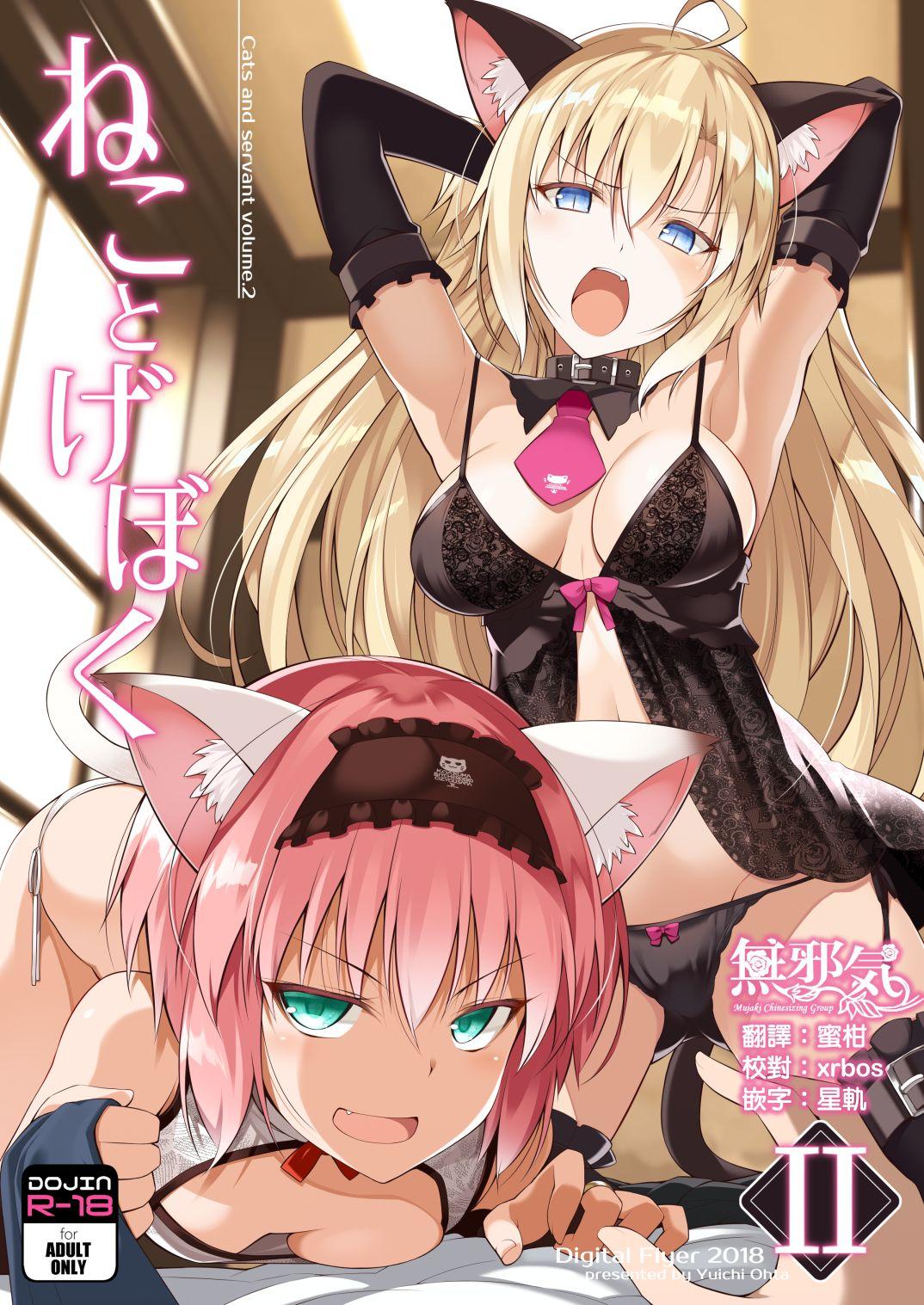 Digital Flyer 大田优一 ねことげぼく II 中国翻訳 DL版