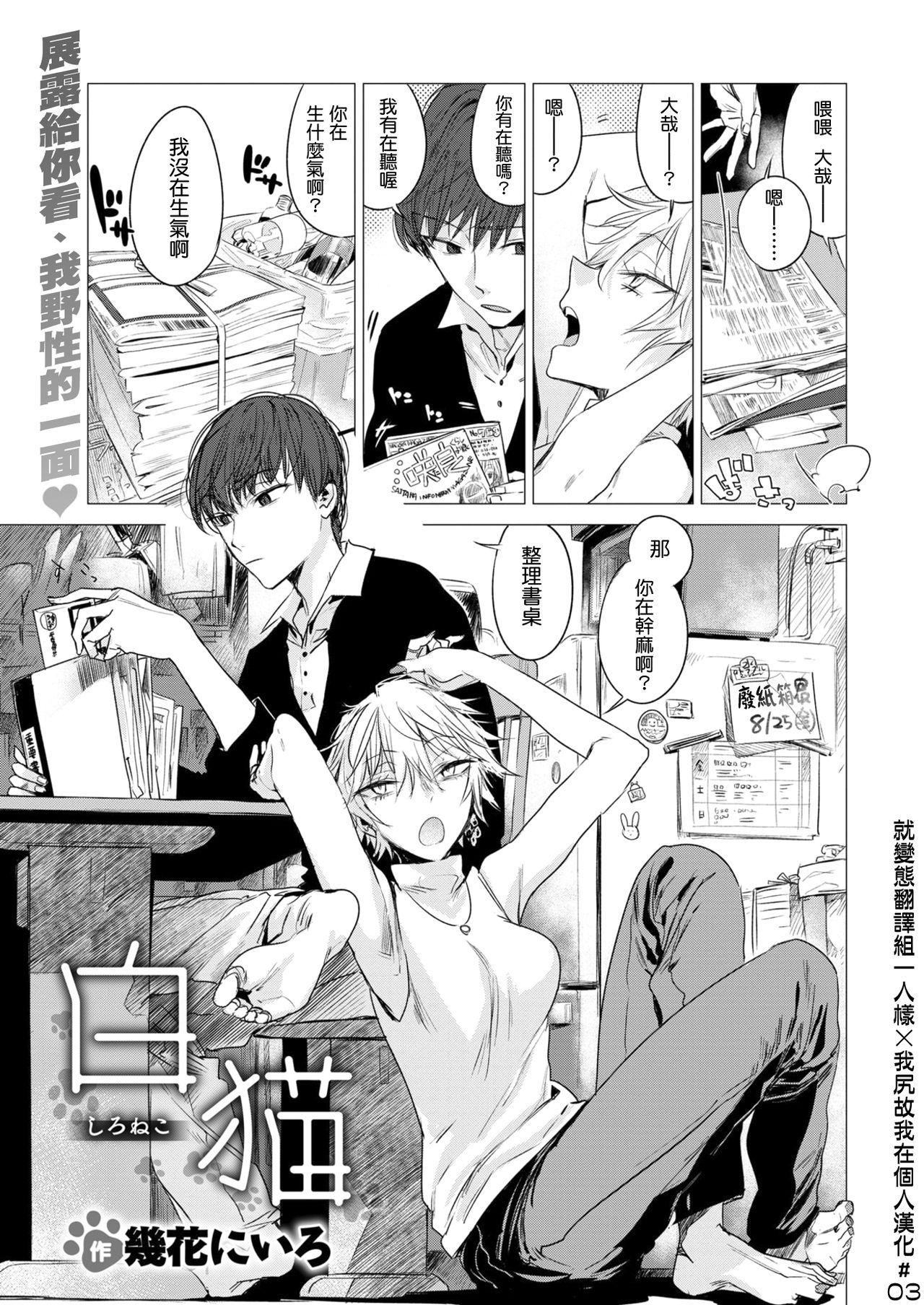 几花にいろ 白猫 COMlC 快楽天 2017年10月号 中国翻訳 DL版