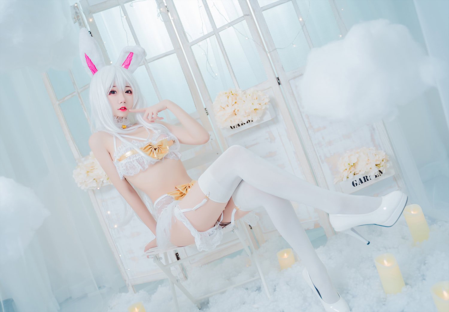 猫君君MaoJun 白兔