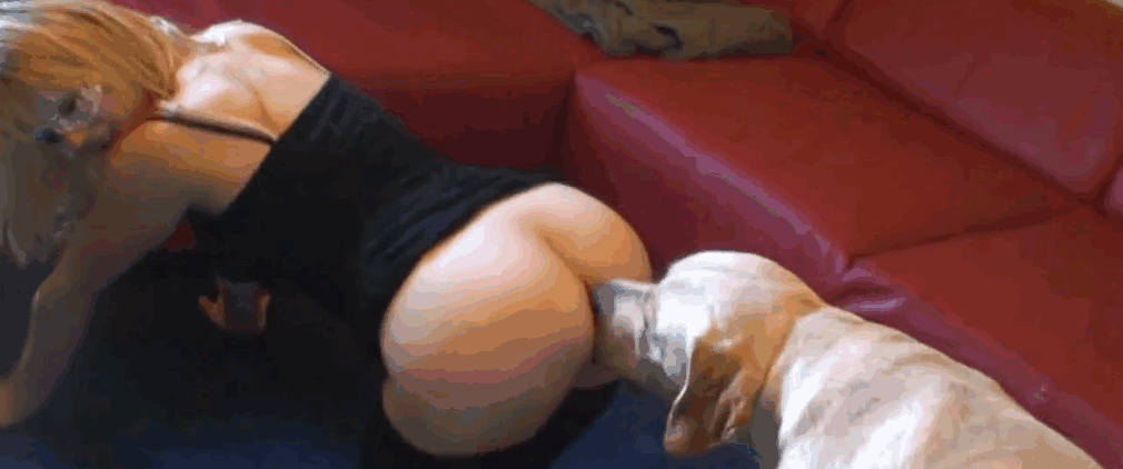 穿黑丝袜的金发美女想要把狗鸡巴塞进去