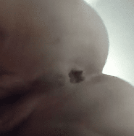 胖乎乎的可爱女孩和性感的家伙